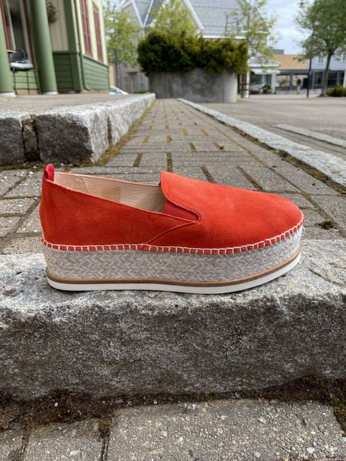 Hovedbilde Gaimo Sarry Rojo